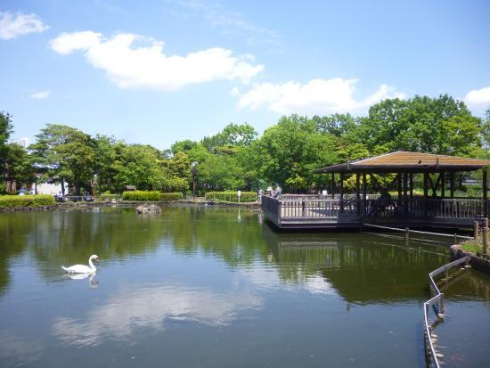 Arakawa Natural Park